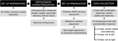 Children's strategies in drop-landing
